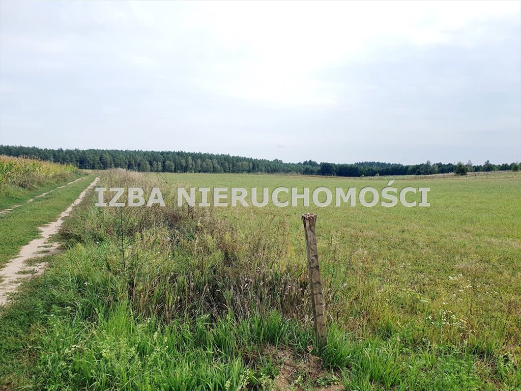 Działka rekreacyjna na sprzedaż Grabnik  3 400m2 Foto 2