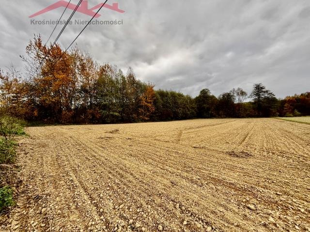 Działka budowlana na sprzedaż Chlebna  1 770m2 Foto 1