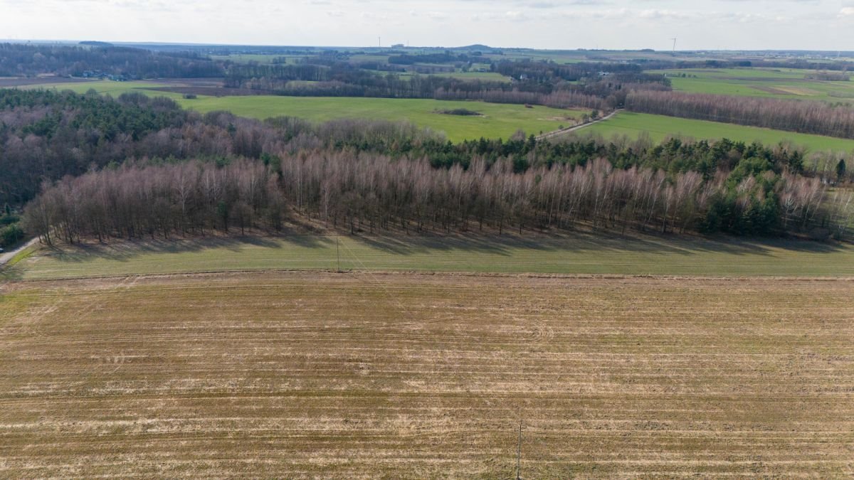 Działka rekreacyjna na sprzedaż Woźniki, Czarny Las, Czarny Las  14 911m2 Foto 5