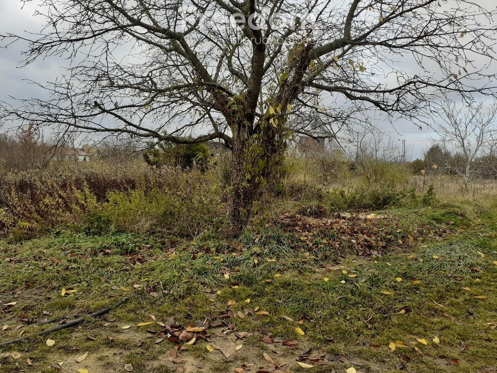 Działka budowlana na sprzedaż Ciechocinek, Słońska  1 035m2 Foto 3