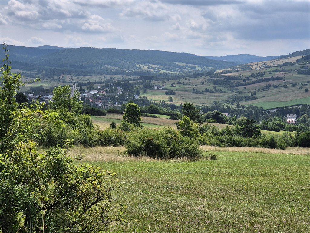 Działka rolna na sprzedaż Posada Jaśliska  9 300m2 Foto 1