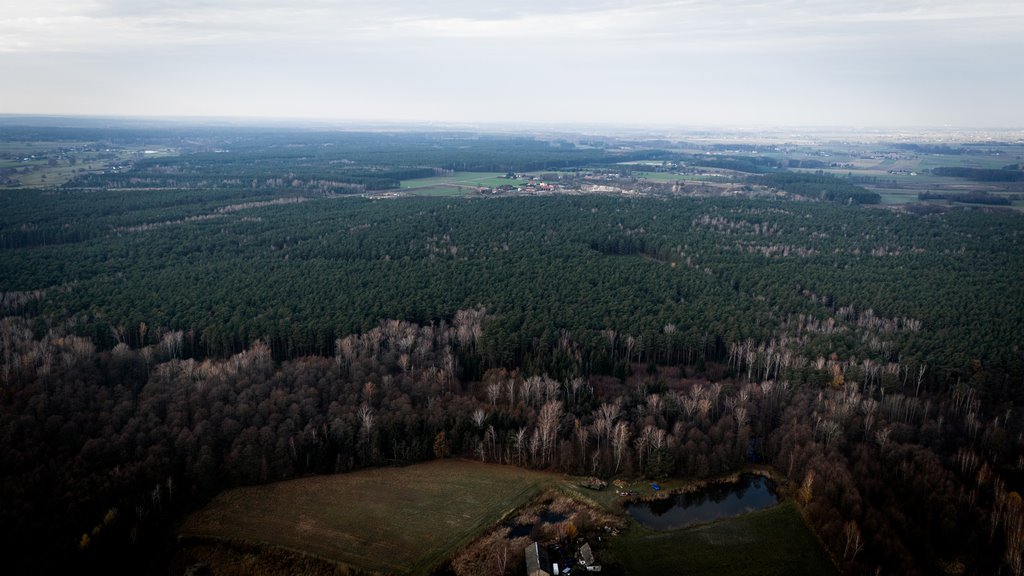 Działka rolna na sprzedaż Kotowice  3 400m2 Foto 12