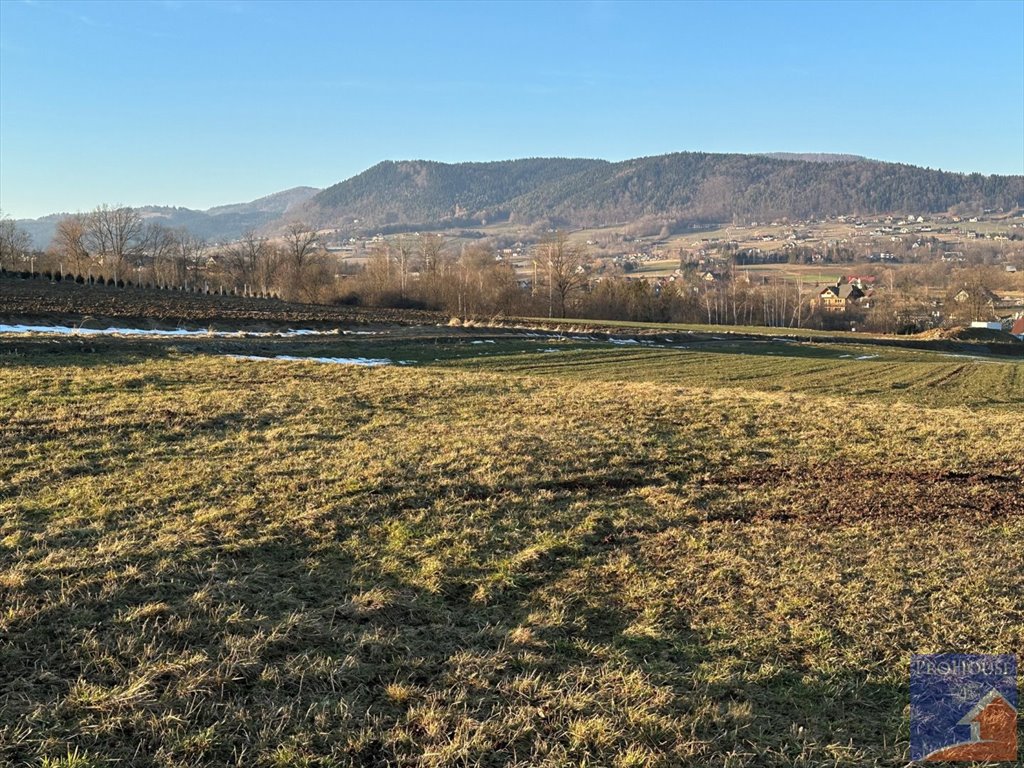 Działka budowlana na sprzedaż Męcina  4 200m2 Foto 4