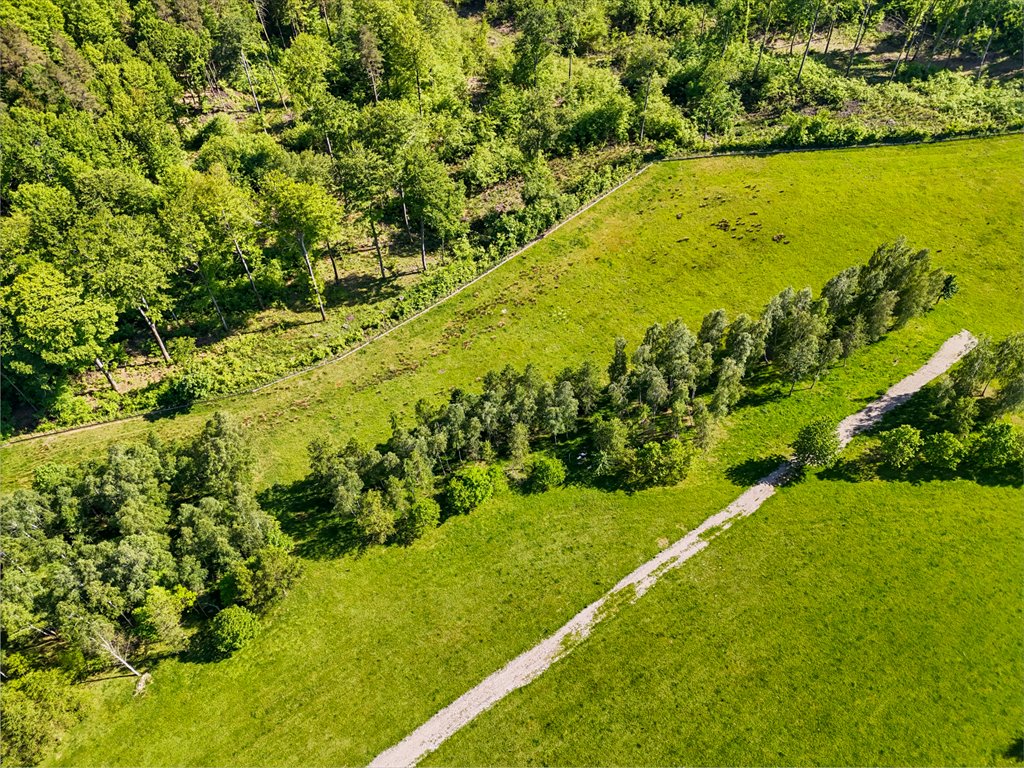 Działka siedliskowa na sprzedaż Słuszewo  3 450m2 Foto 4