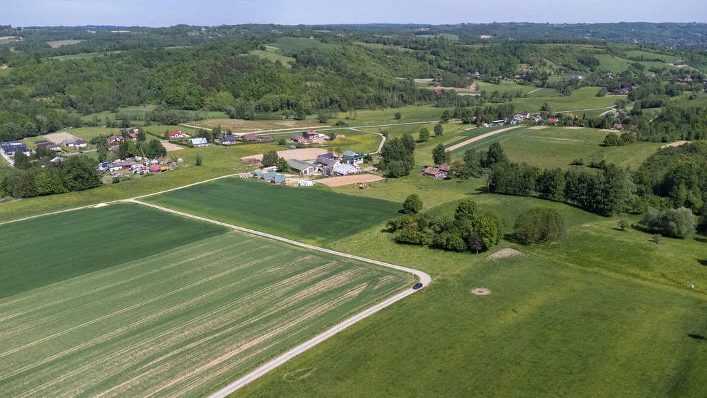 Działka budowlana na sprzedaż Nowy Borek  10 155m2 Foto 5