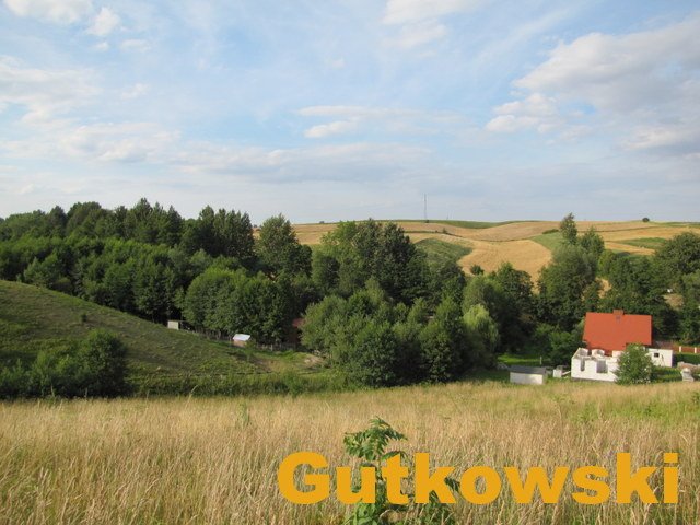 Działka rolna na sprzedaż Łąki Bratiańskie, gmina Nowe Miasto Lubawskie  3 015m2 Foto 8