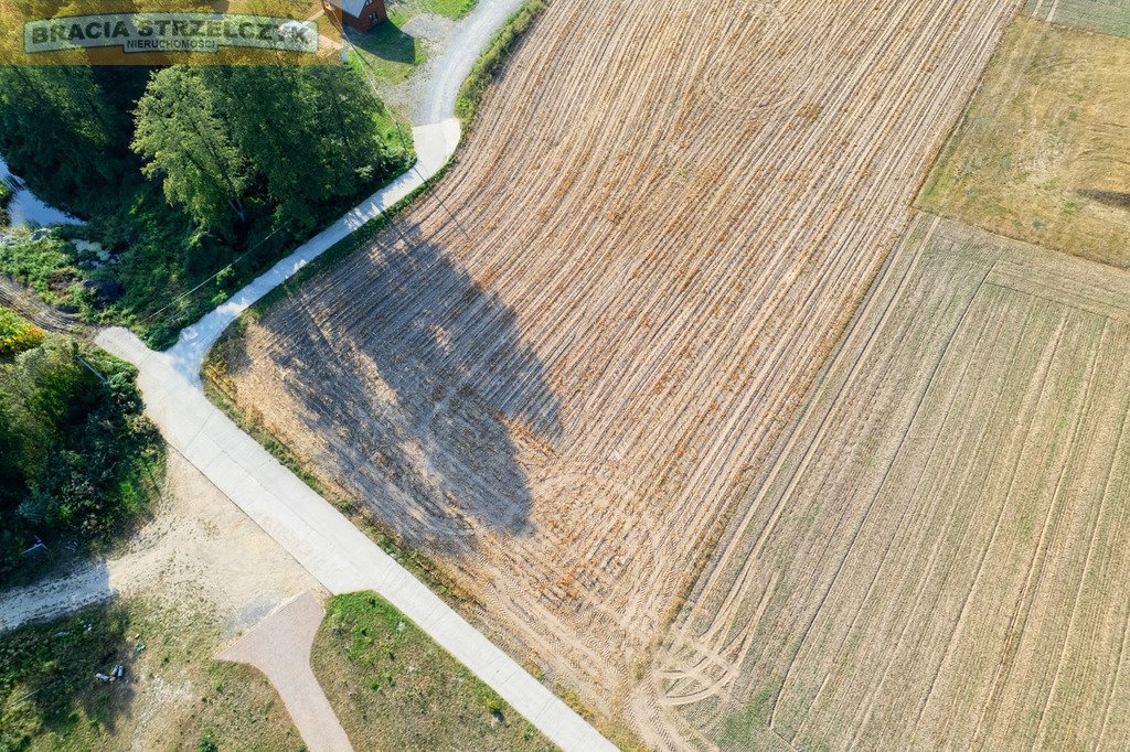 Działka budowlana na sprzedaż Jeruzal  3 769m2 Foto 8