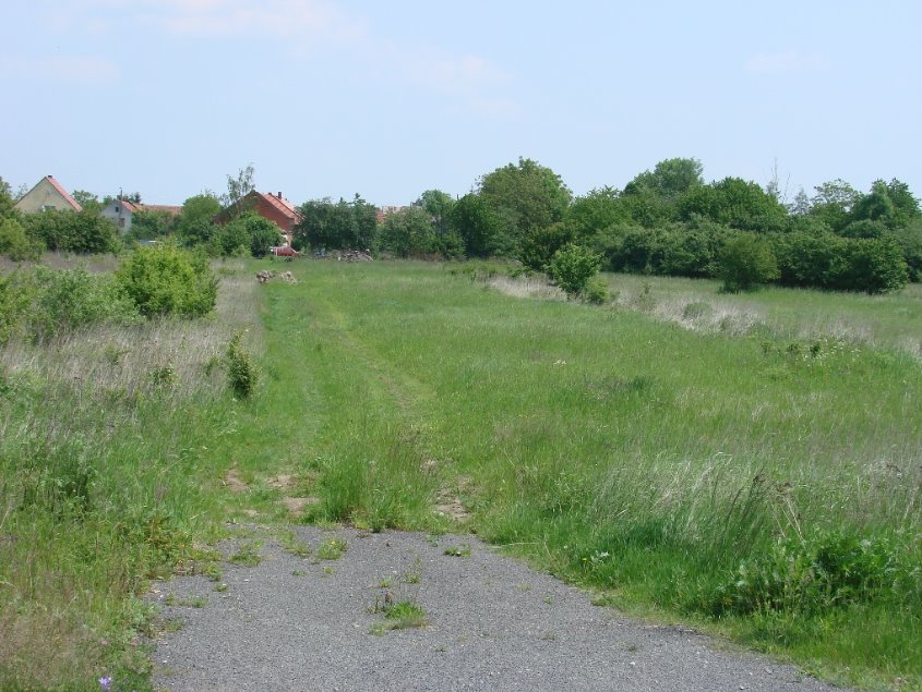 Działka budowlana na sprzedaż Głoska  2 748m2 Foto 7