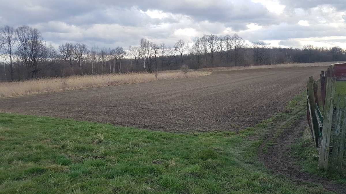 Działka inna na sprzedaż Żarów, Wierzbna  2 950m2 Foto 2