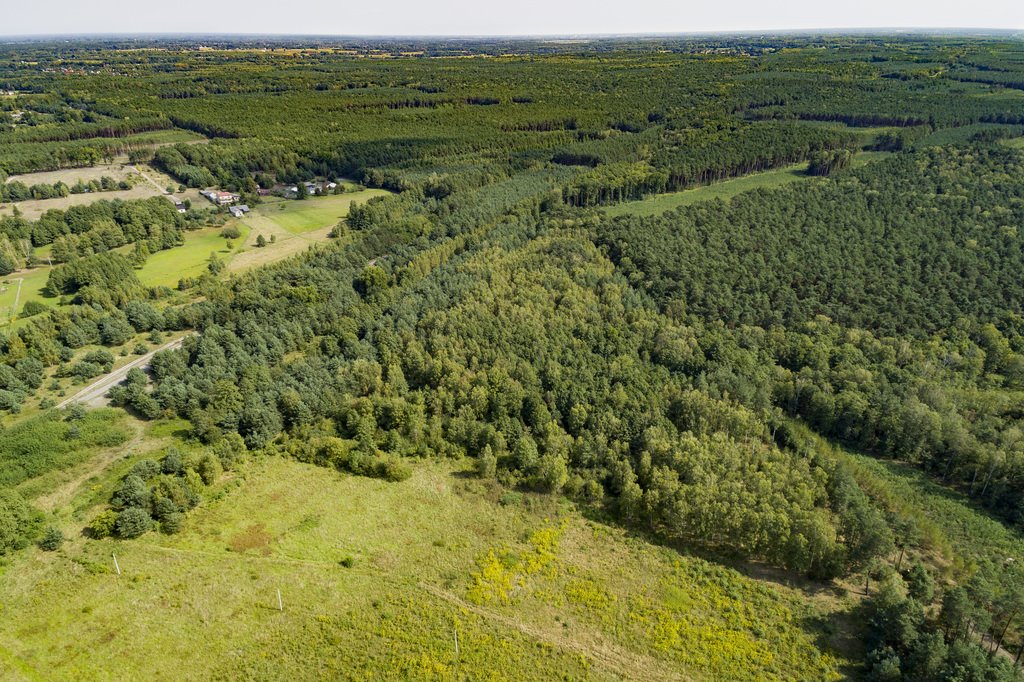 Sprzedam działkę 52 tys. m² z lasem w Franciszkowie: Franciszków