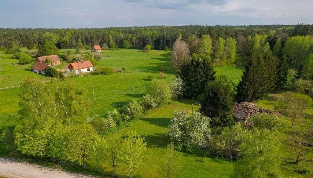 Działka rolna na sprzedaż Jakubowo  3 500m2 Foto 3