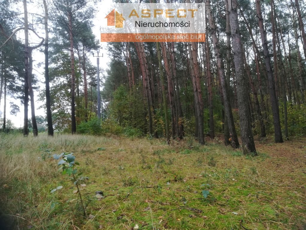 Działka leśna na sprzedaż Liszyno  1 740m2 Foto 1
