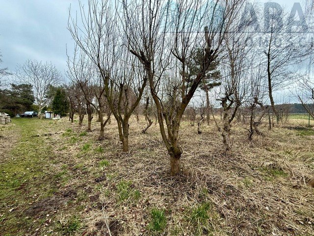 Dom na sprzedaż Kościelec  45m2 Foto 10