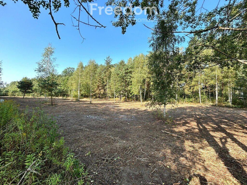 Działka budowlana na sprzedaż Glinianka  6 000m2 Foto 1