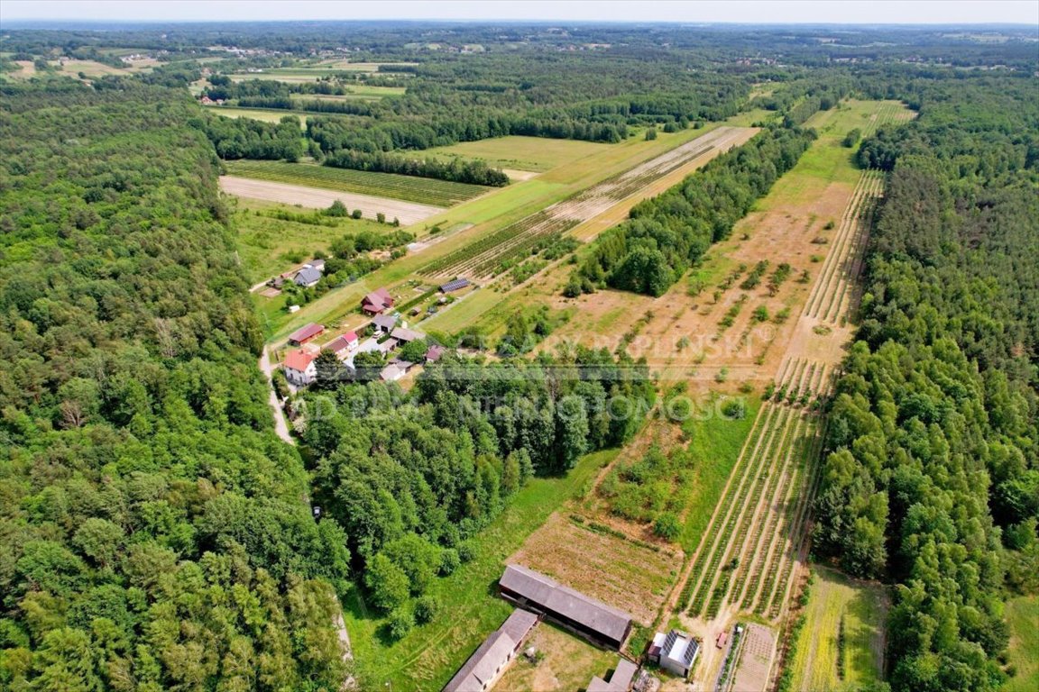 Działka leśna na sprzedaż Uściąż-Kolonia, Uściąż Kolonia  23 000m2 Foto 14