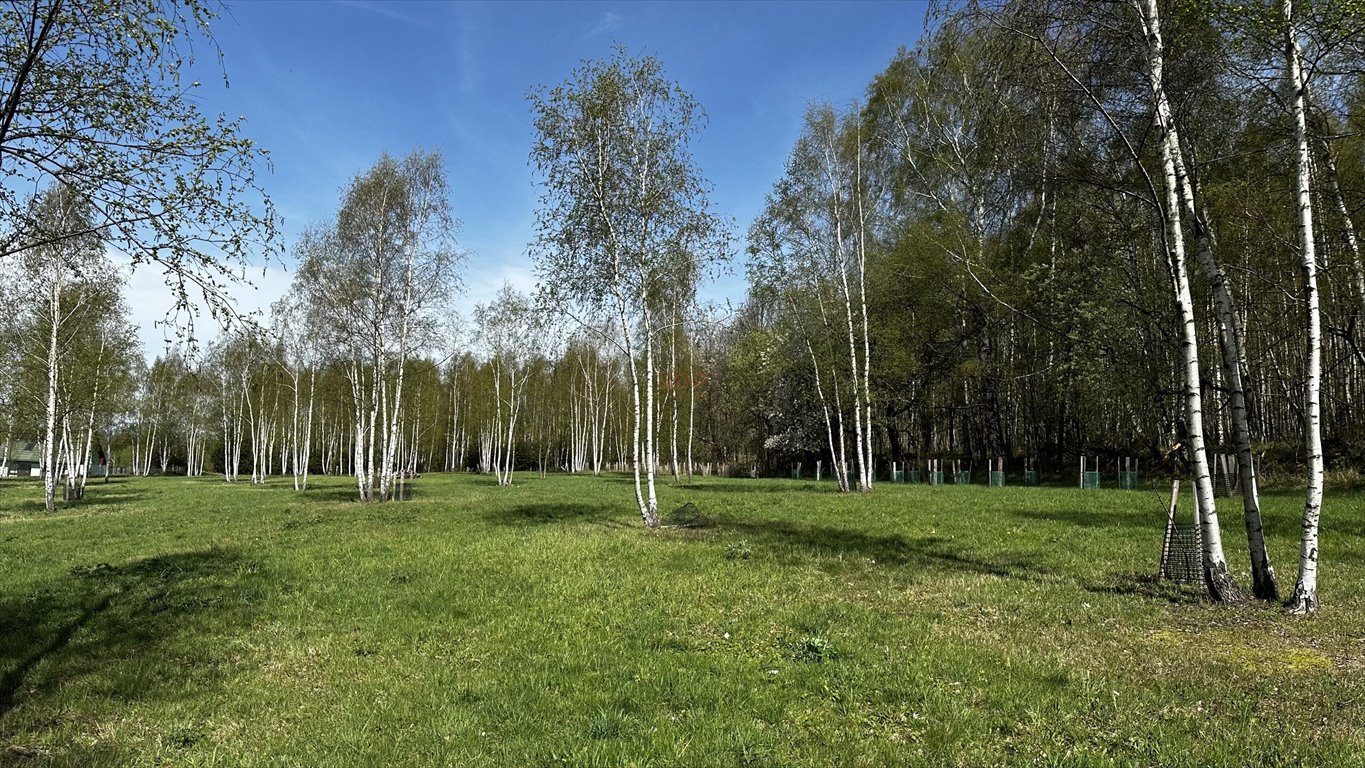 Działka budowlana na sprzedaż Nowa Wieś  3 753m2 Foto 1