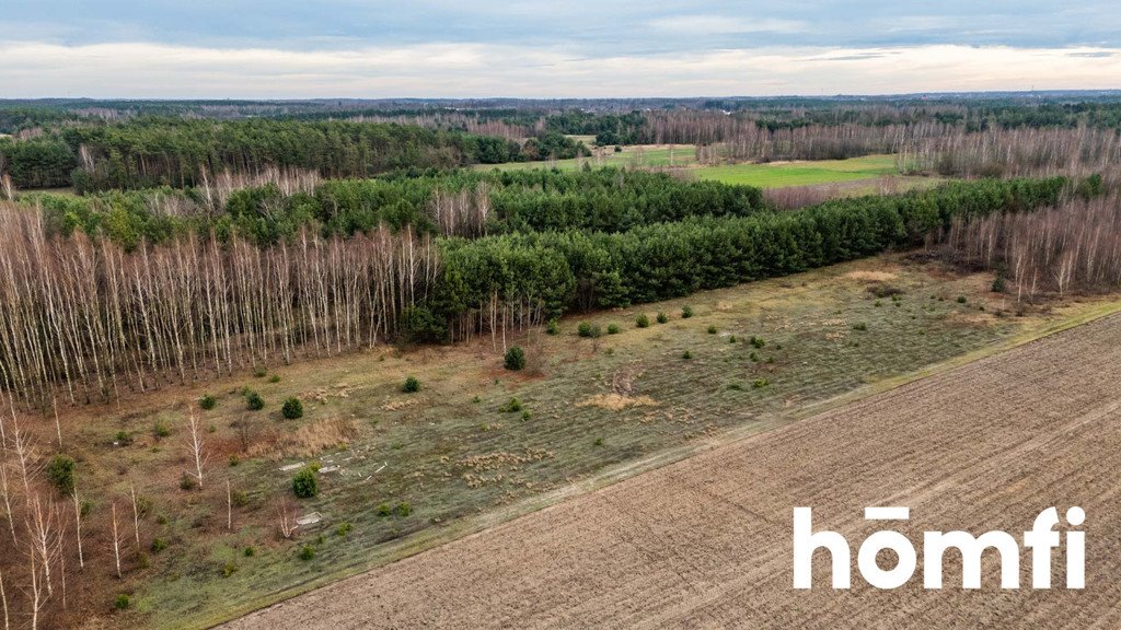 Działka rolna na sprzedaż Radom, Nowa Wola Gołębiowska  2 600m2 Foto 8