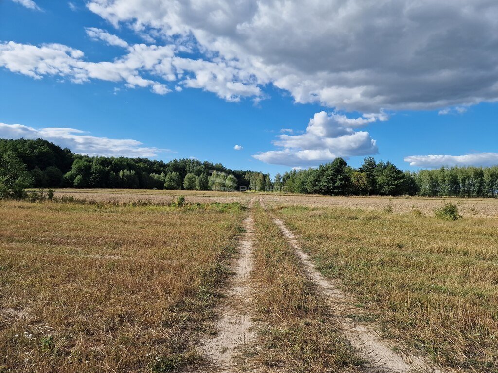 Działka rolna na sprzedaż Uhowo  9 290m2 Foto 6