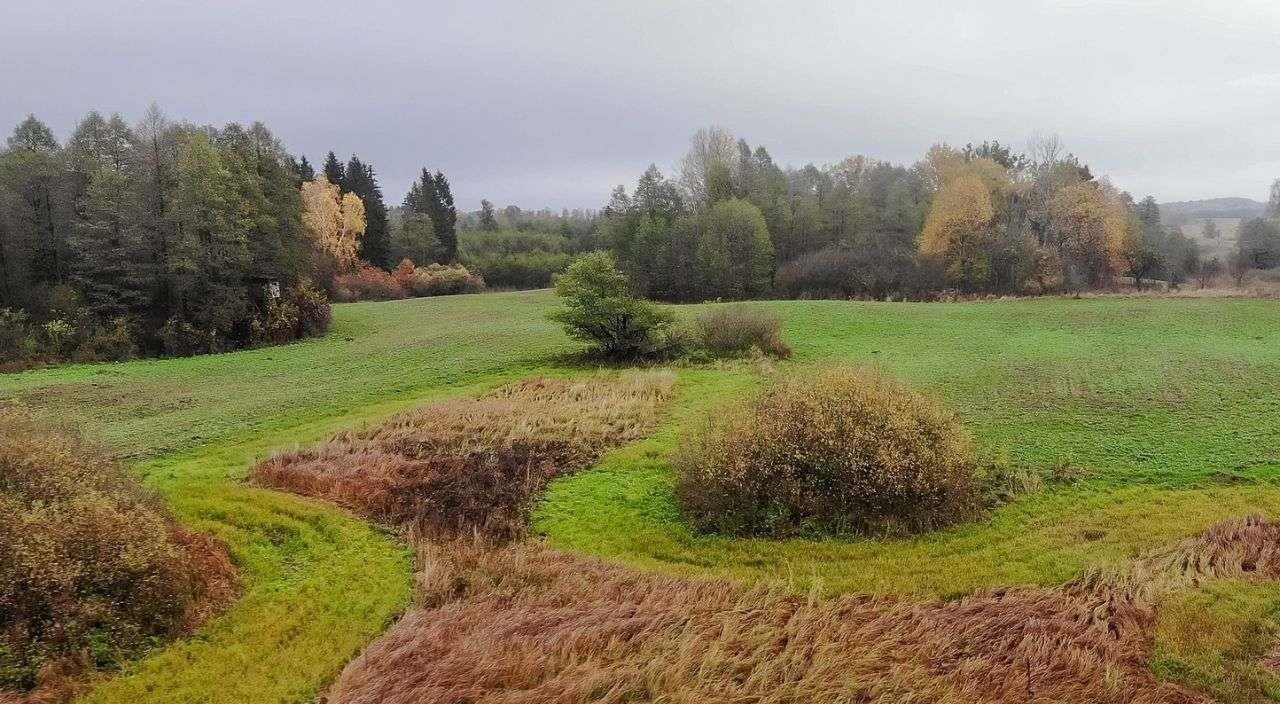 Działka rolna na sprzedaż Świętajno  3 010m2 Foto 14