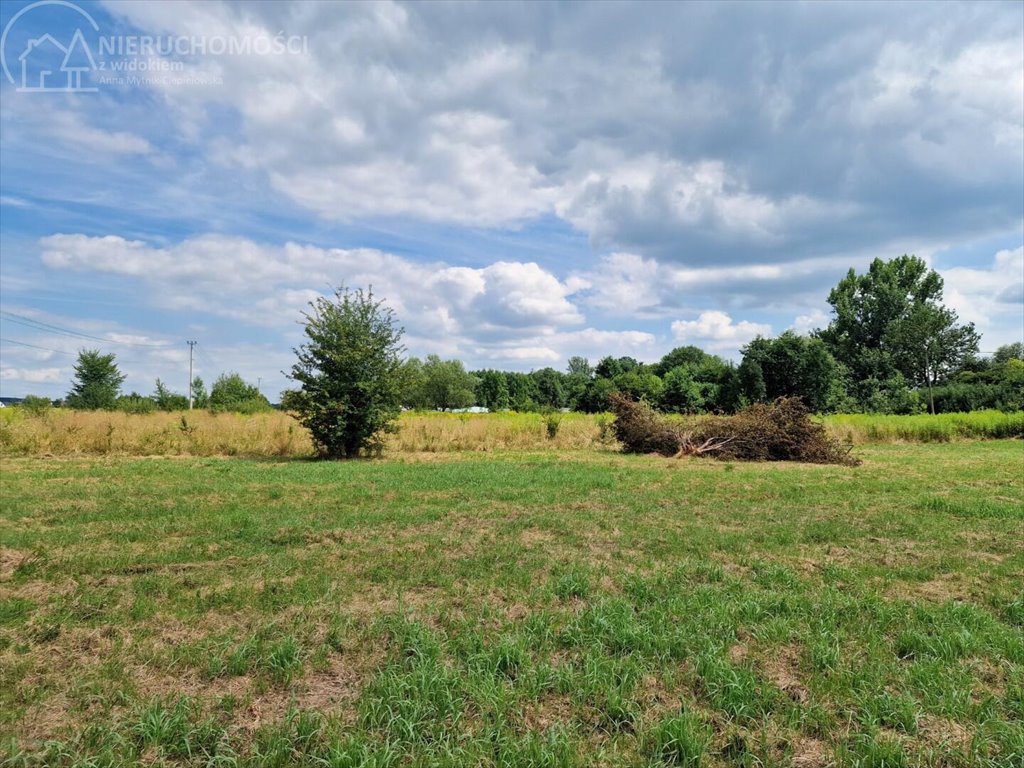 Działka budowlana na sprzedaż Krzeczów  1 100m2 Foto 4