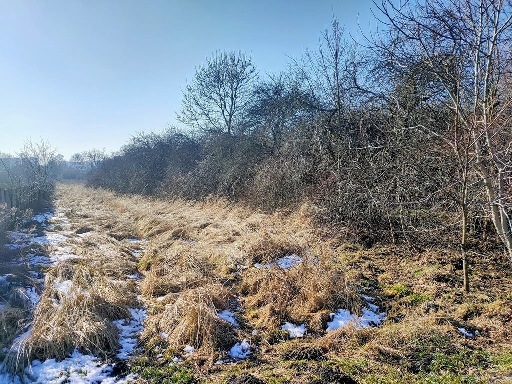 Działka inwestycyjna na sprzedaż Łódź, Lawinowa  20 569m2 Foto 13