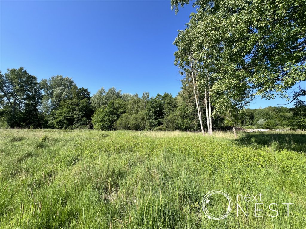 Działka budowlana na sprzedaż Chojnów, Partyzantów  1 834m2 Foto 1