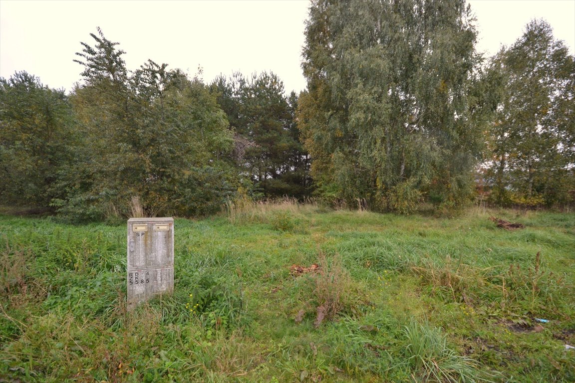 Działka budowlana na sprzedaż Aleksandria, Aleksandria, Aleksandria Druga  1 036m2 Foto 3