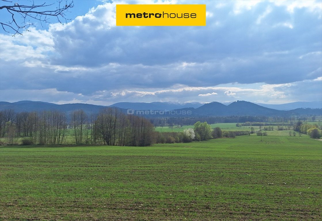 Działka 3050 m² pod dom lub inwestycję w Janowicach Janowice Wielkie, Spacerowa  3 052m2 Foto 1