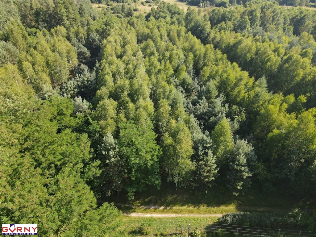 Działka inna na sprzedaż Stobnica-Piła  7 300m2 Foto 8