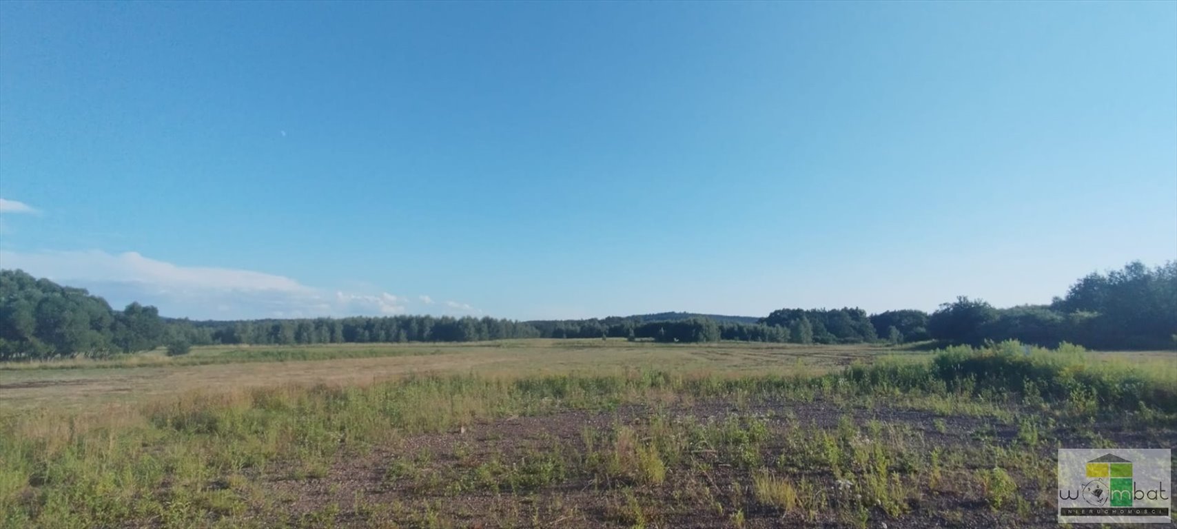 Działka inna na sprzedaż Modliszów  2 100m2 Foto 4