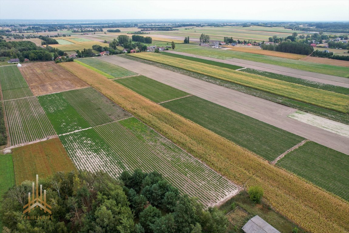 Działka przemysłowo-handlowa na sprzedaż Topólno, Muchowo  20 200m2 Foto 2