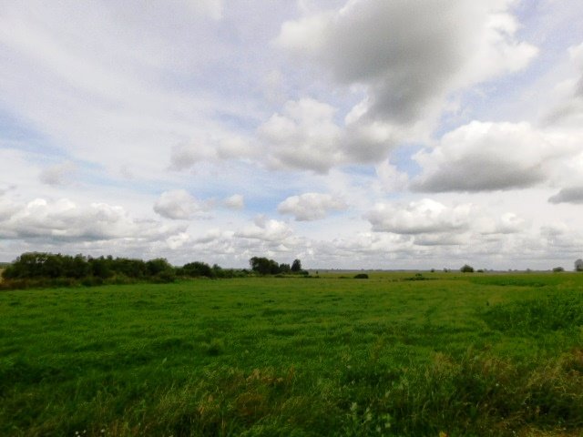 Duża działka rolna 9,29 ha w Szczepankach, dojazd asfaltowy Szczepanki  92 900m2 Foto 1