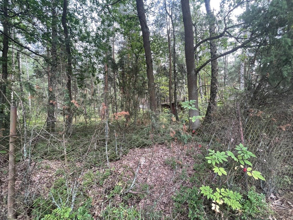 Działka budowlana na sprzedaż Ruda  1 500m2 Foto 10