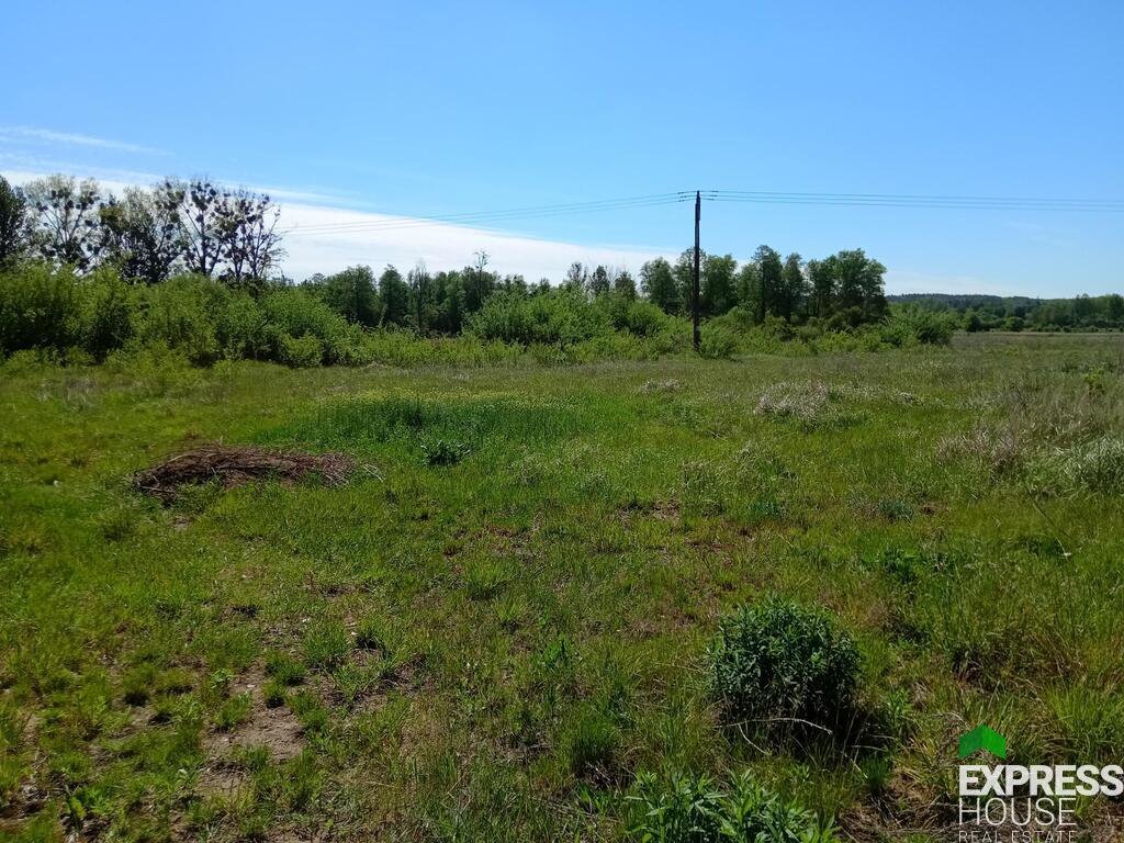 Duża działka 7929 m² z widokiem na las i rzekę Jurowce, Wasilkowska  7 929m2 Foto 1