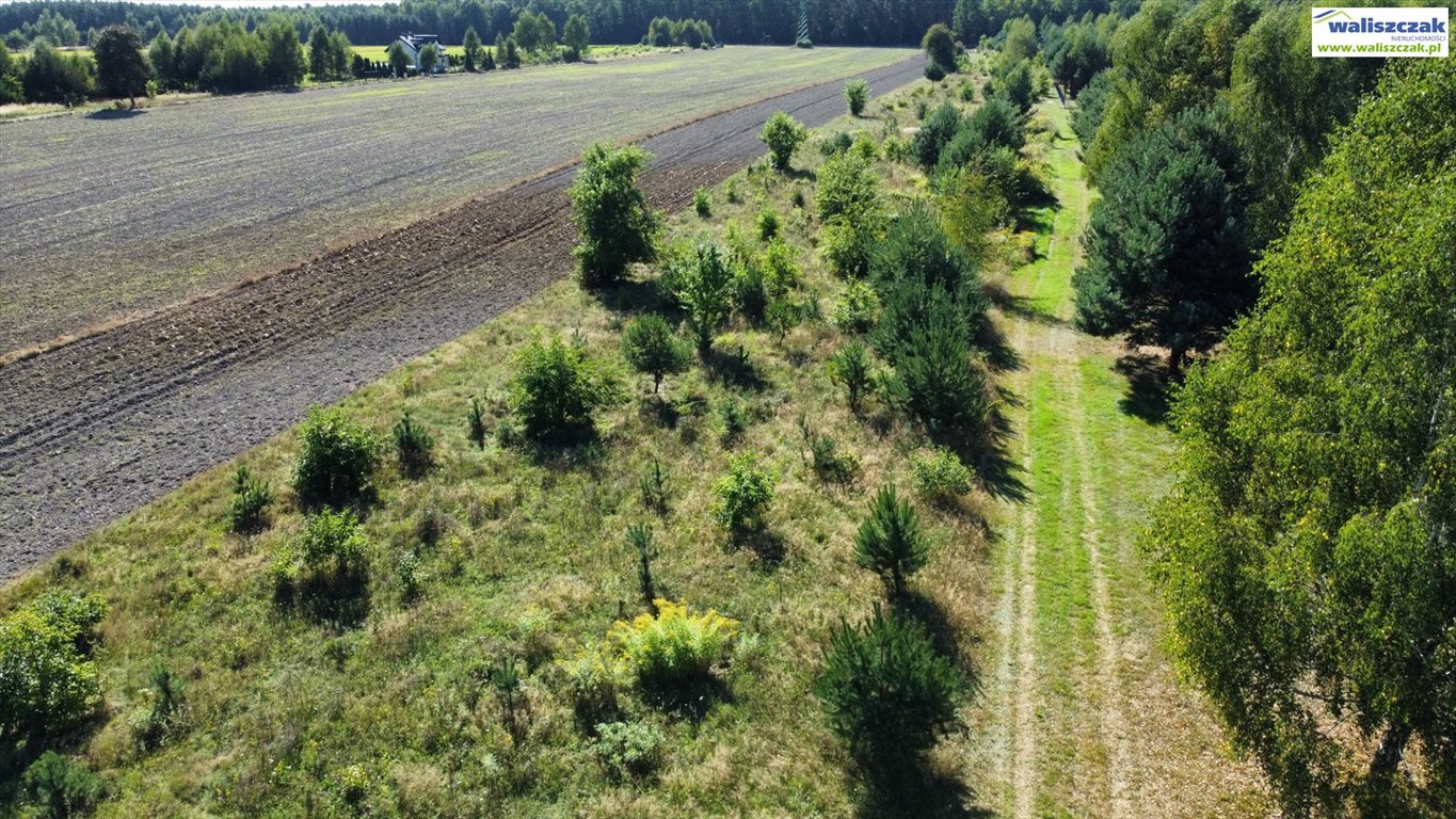 Działka budowlana na sprzedaż Lubiaszów, Nowy Lubiaszów  1 400m2 Foto 3