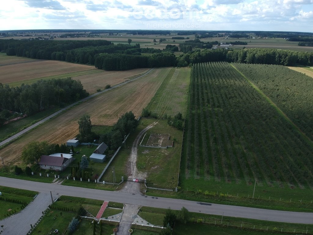 Działka inna na sprzedaż Filipinów  3 000m2 Foto 4