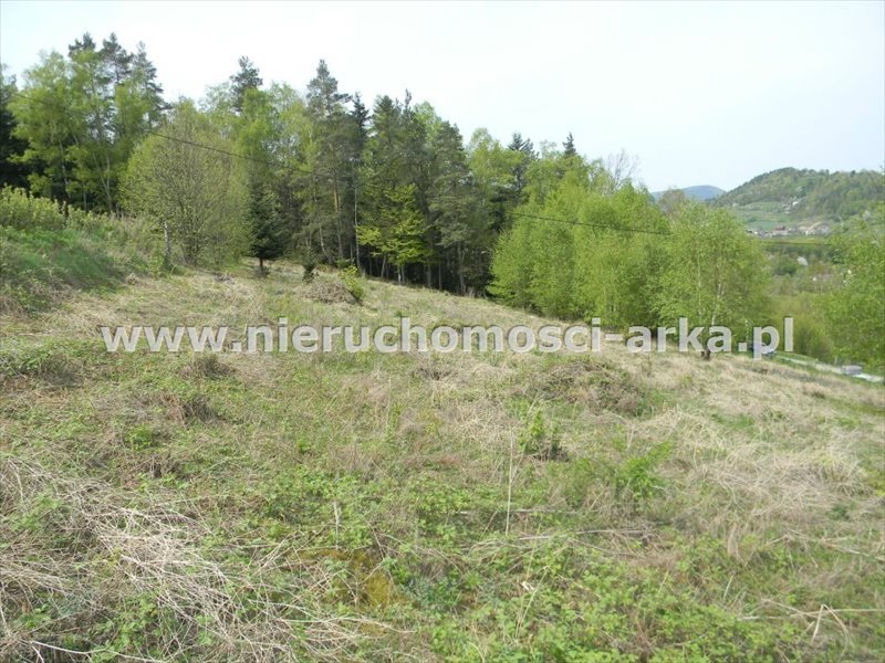Działka budowlana na sprzedaż Limanowa 3 676m2 Foto 1 Działka budowlana na sprzedaż Limanowa 3 676m2 Foto 1