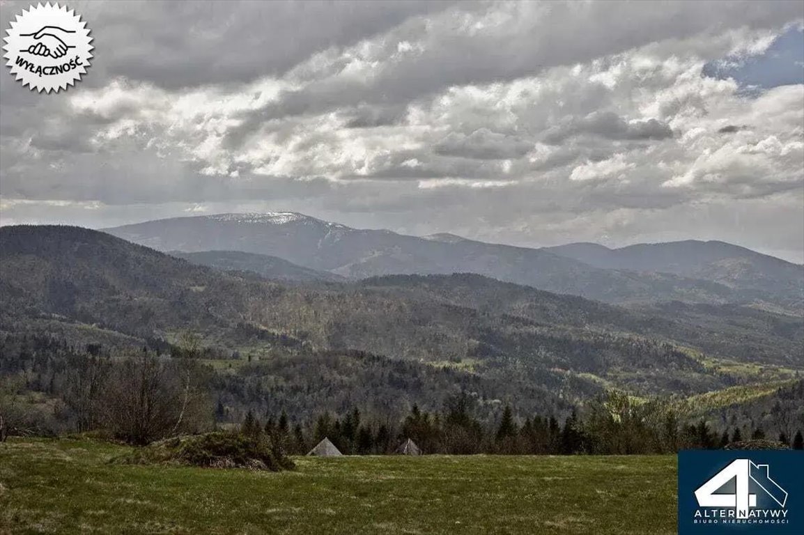 Działka budowlana na sprzedaż Przyborów, Moczarki 491  1 379m2 Foto 5