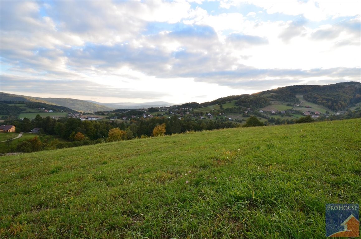 Działka budowlana na sprzedaż Laskowa  2 700m2 Foto 3