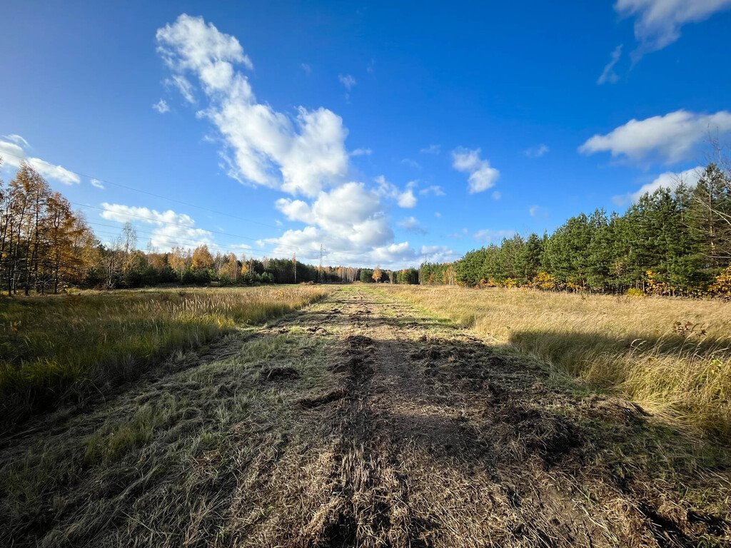 Działka budowlana na sprzedaż Magonie  1 200m2 Foto 3