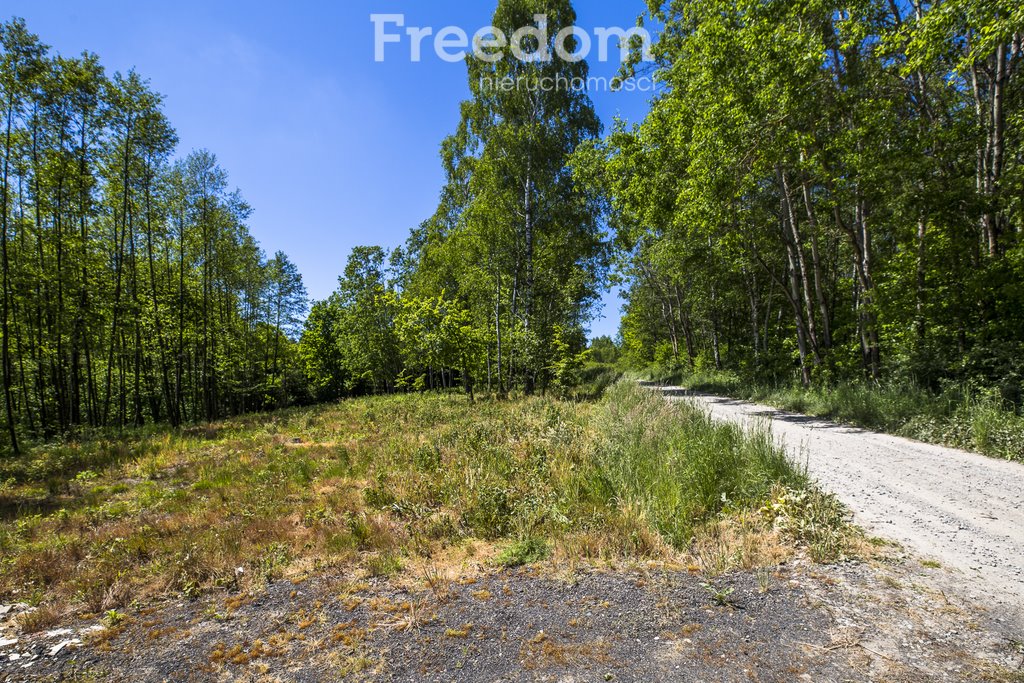 Działka inwestycyjna na sprzedaż Błażowa Górna  78 800m2 Foto 15