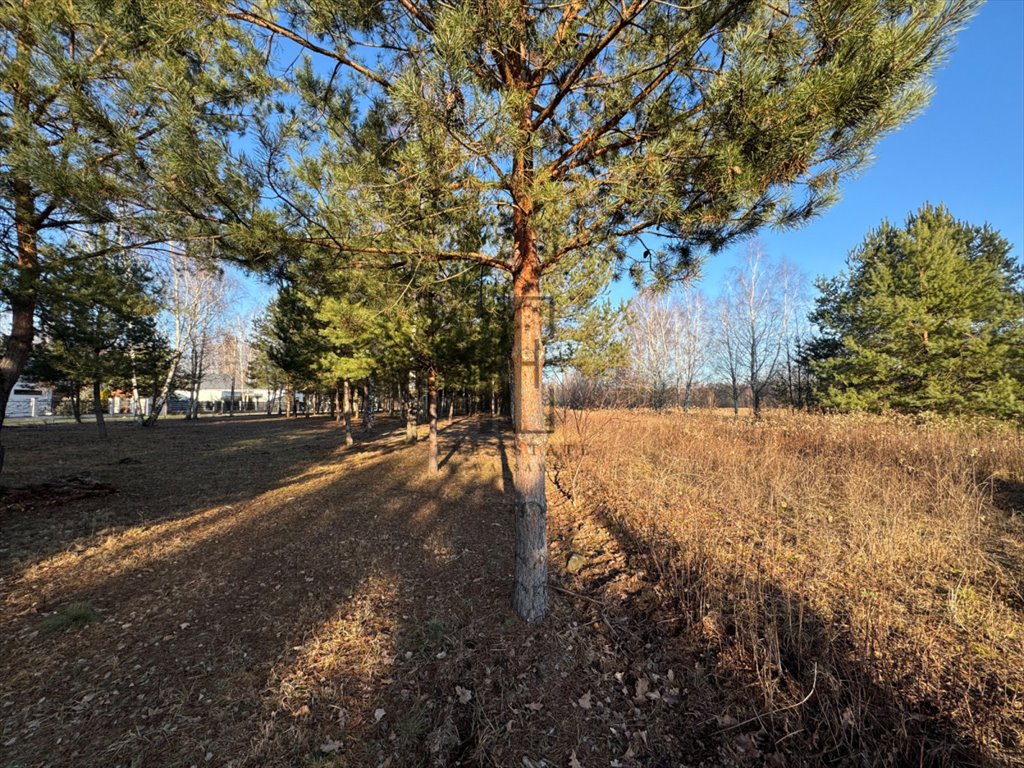 Działka budowlana na sprzedaż Lipowo  1 800m2 Foto 1