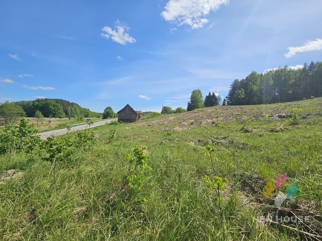 Działka budowlana na sprzedaż Ruś  16 500m2 Foto 7