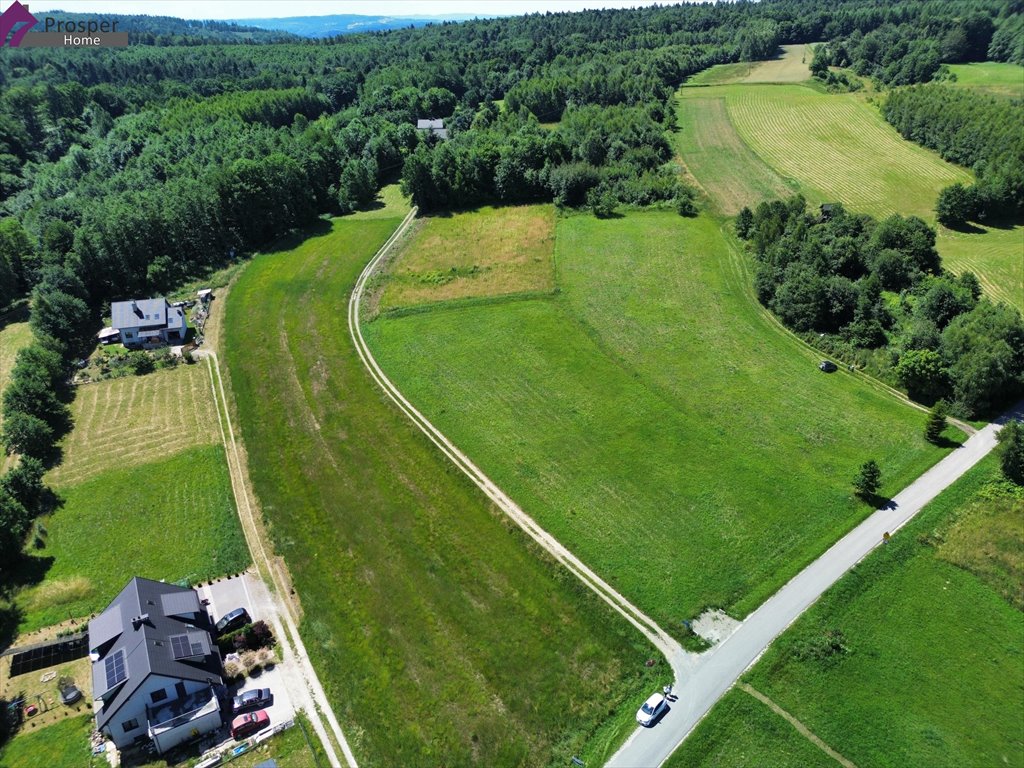 Działka budowlana na sprzedaż Mogielnica  1 221m2 Foto 5