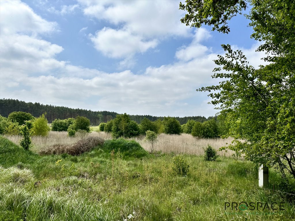 Działka budowlana 2764 m² z mediami i planem osady Zagórze  2 764m2 Foto 1