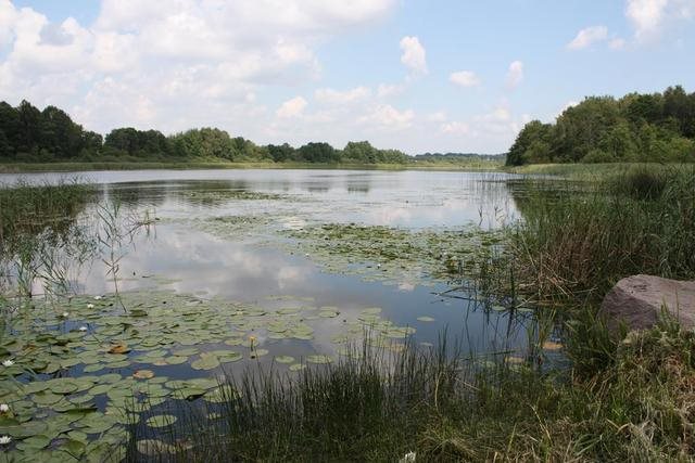 Działka rekreacyjna na sprzedaż Dobra  505m2 Foto 17