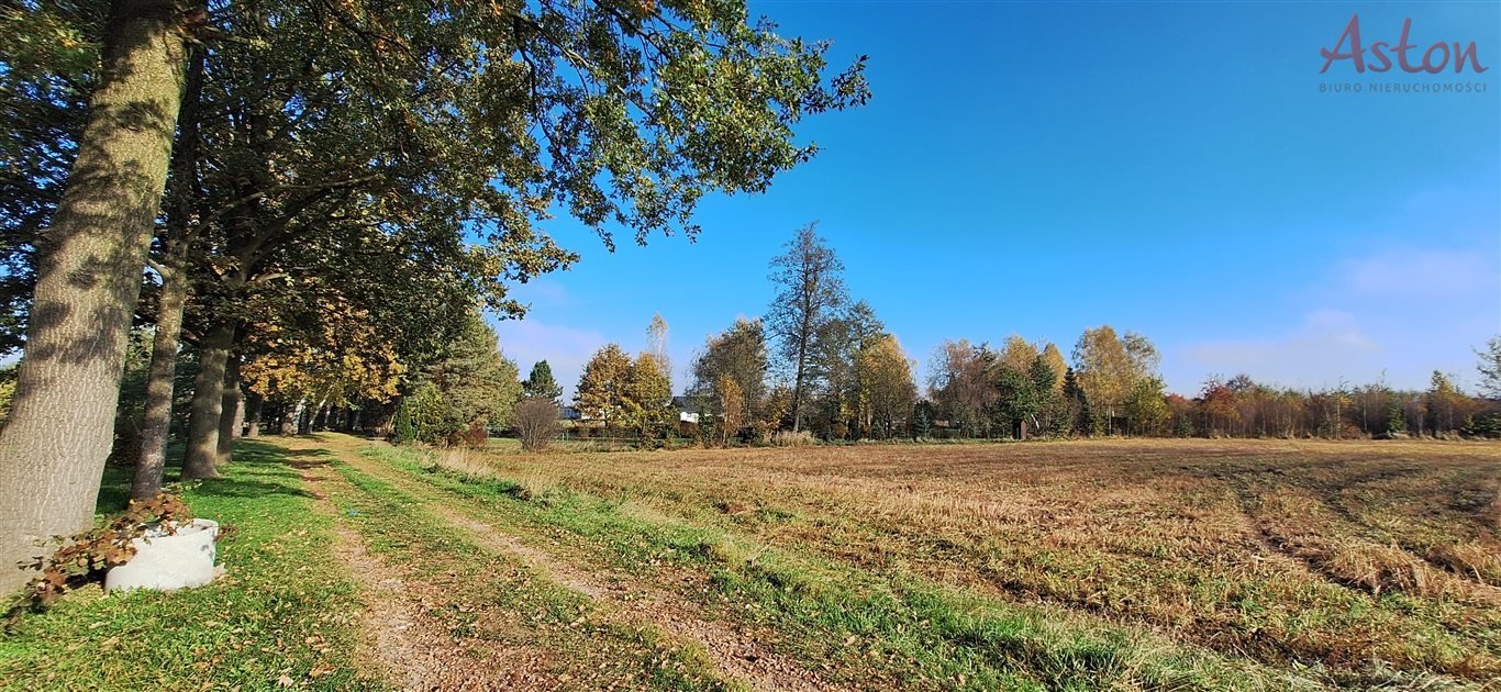 Działka inna na sprzedaż Miedźna  733m2 Foto 4