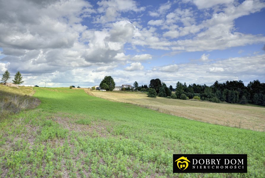 Działka rolna na sprzedaż Stara Kamionka  3 000m2 Foto 11