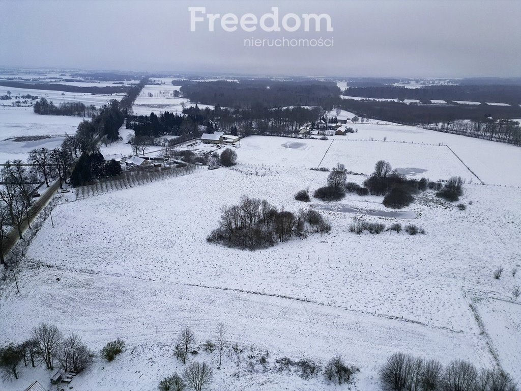 Działka inna na sprzedaż Bajdy  3 000m2 Foto 4