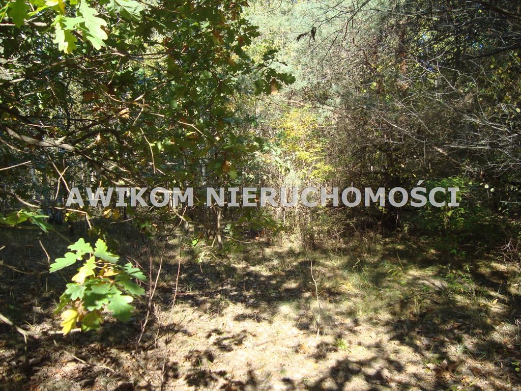 Działka 26 900 m² pod inwestycję, las i media w cenie Lutkówka Druga  26 900m2 Foto 1